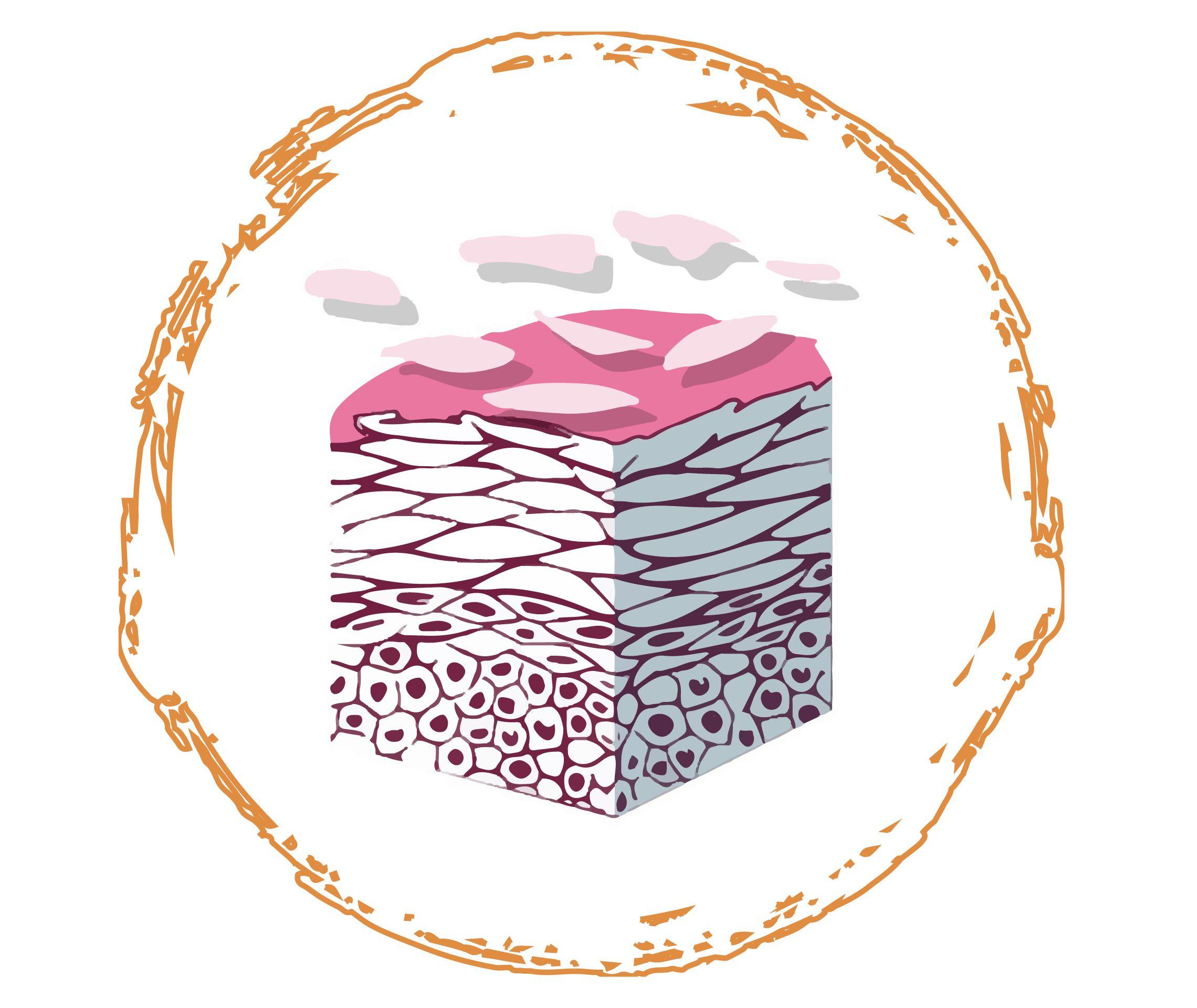 Psoriasis Info Diagnose Grafik Schuppen 1