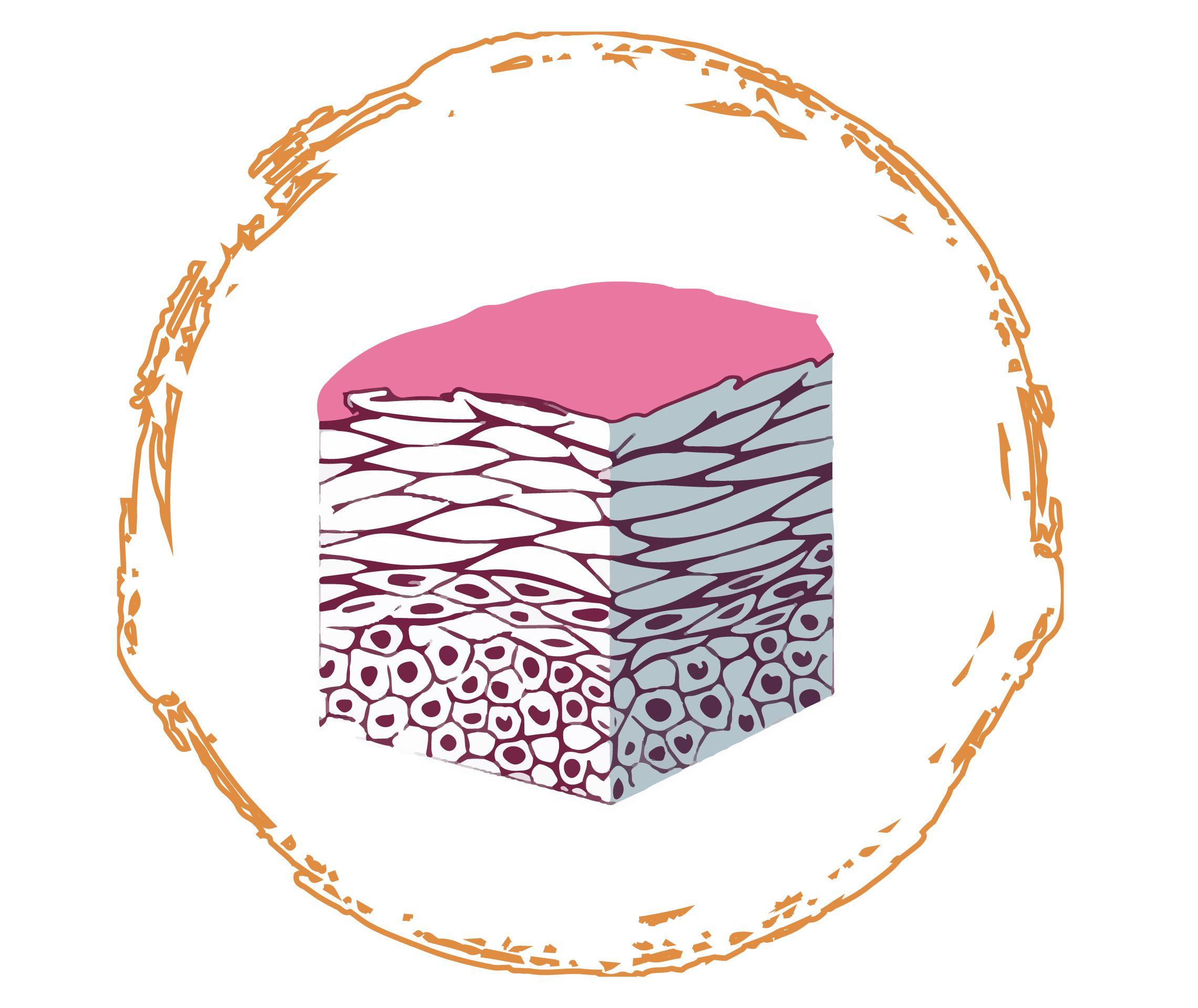 Psoriasis Info Diagnose Schuppen oder Schuppenflechte Grafik 2