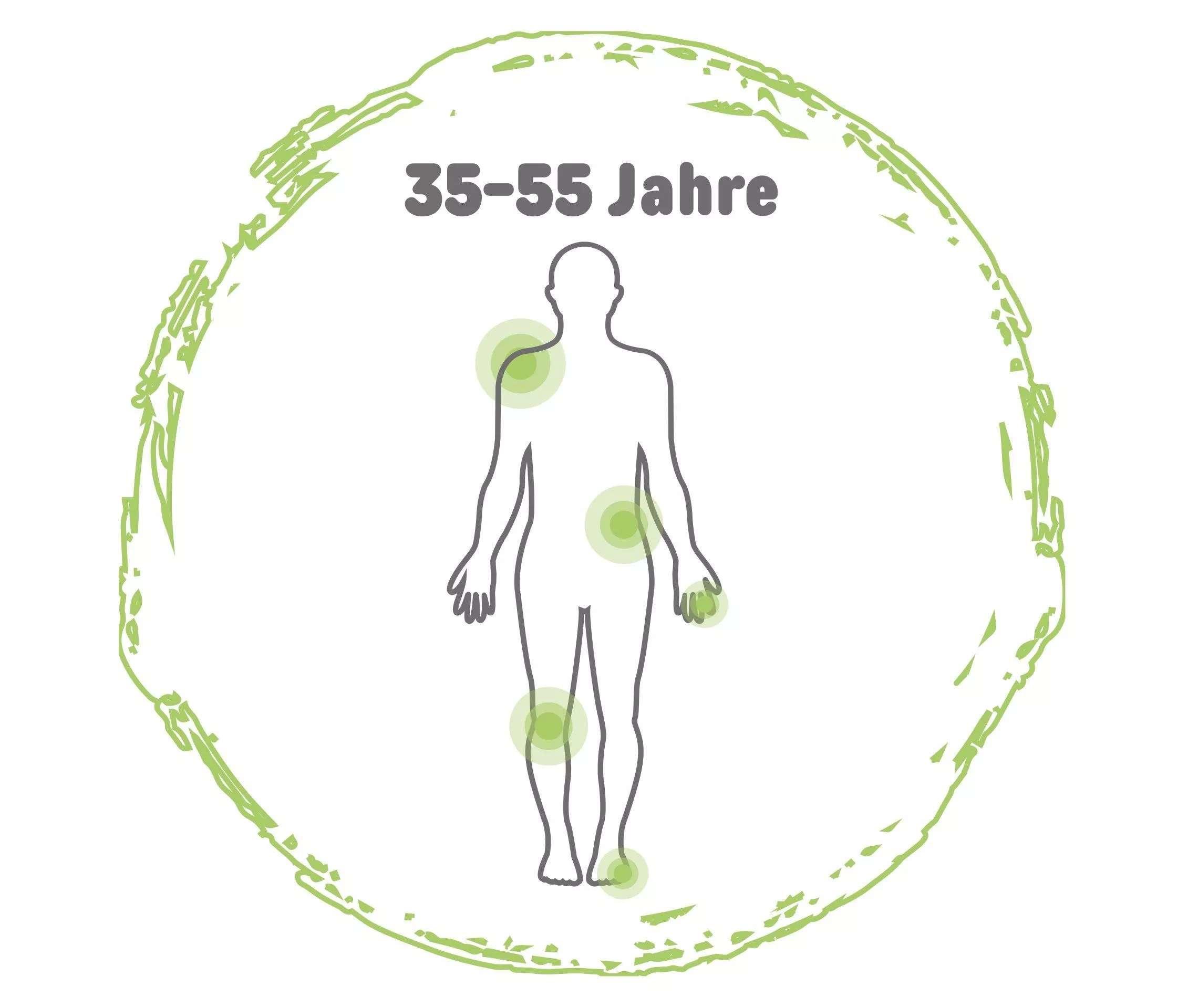 Grafik eines Menschen mit der Angabe 35-55 Jahre