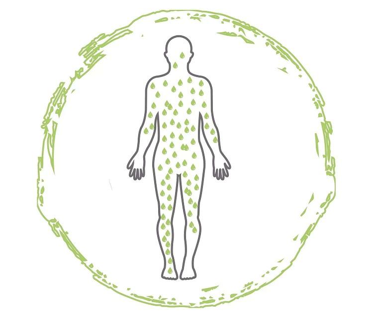 Psoriasis guttata - plötzlich tauchen schuppende Punkte auf