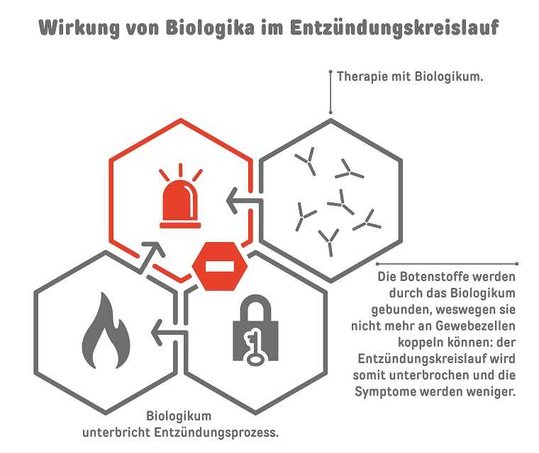 Psoriasis: Biologika im Entzündungskreislauf Wirkung von Biologika im Entzündungskreislauf